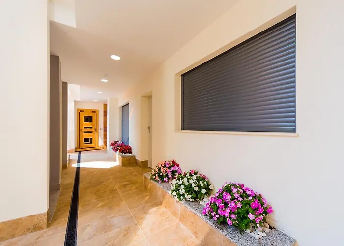 Alegria Id8 Torrevieja