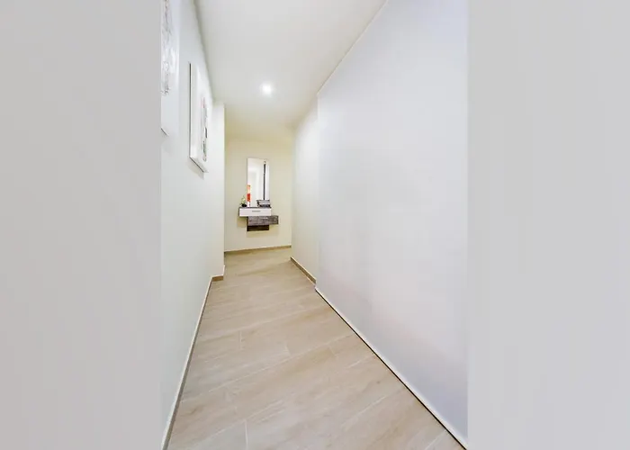 Alegria Id8 Torrevieja