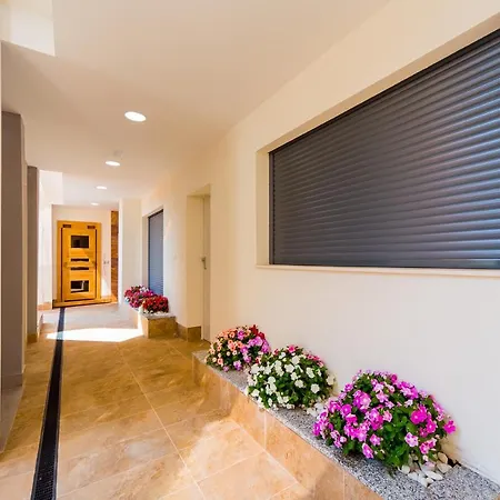 Alegria Id8 Torrevieja